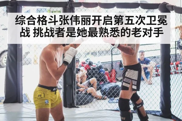 mixed martial arts cage fight