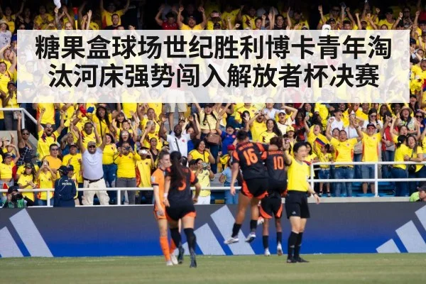 football fans celebration