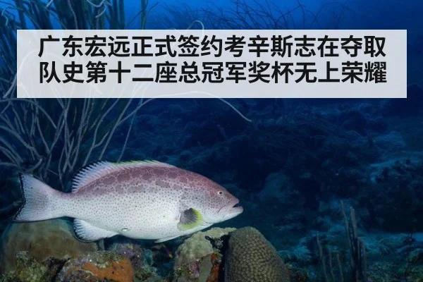 广东宏远正式签约考辛斯志在夺取队史第十二座总冠军奖杯无上荣耀